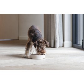 Beeztees DBL Köpek Yavaş Besleme Mama Kabı, Bambu, Bej, 17cm, 800ml