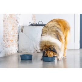 Beeztees DBL Köpek Mama Su Kabı, Mat Siyah Paslanmaz Çelik, 20cm, 1,9L