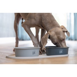 Beeztees DBL Köpek Mama Su Kabı, Mat Siyah Paslanmaz Çelik, 20cm, 1,9L