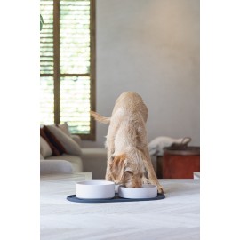 Beeztees DBL Mama Su Kabı Servisi, Silikon, Kaymaz, Antrasit, 55x30x1,7cm