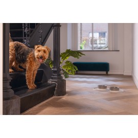 Beeztees DBL Mama Su Kabı Servisi, Silikon, Kaymaz, Bej, 55x30x1,7cm