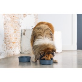 Beeztees DBL Köpek Mama Su Kabı, Mat Siyah Paslanmaz Çelik, 20cm, 1,9L