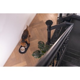 Beeztees DBL Köpek Mama Su Kabı, Bambu, Bej, 17cm, 800ml