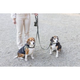 Beeztees DBL Köpek Tasması, Kadife, Nefti, 35-50cm, 20mm