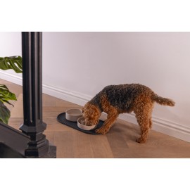 Beeztees DBL Köpek Mama Su Kabı, Bambu, Bej, 17cm, 800ml