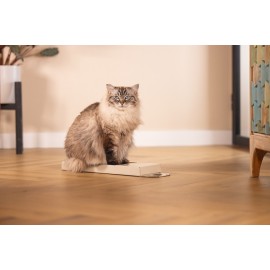 Beeztees Kedi Karton Tırmalama, Bej, 45cm