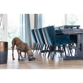 Beeztees DBL Köpek Mama Su Kabı, Mat Siyah Paslanmaz Çelik, 20cm, 1,9L