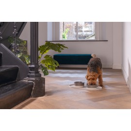 Beeztees DBL Mama Su Kabı Servisi, Silikon, Kaymaz, Bej, 55x30x1,7cm