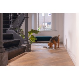 Beeztees DBL Mama Su Kabı Servisi, Silikon, Kaymaz, Bej, 55x30x1,7cm