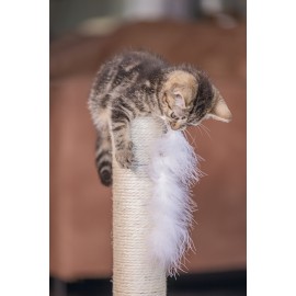 Beeztees Kedi Tırmalama ve Oyuncağı, Gri, 35x35x53cm