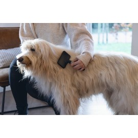 Beeztees Köpek Tarağı, Kolay Tarama, SM, Siyah Gri, 19cm, 19x12x4cm