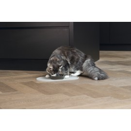 Beeztees DBL Mama Su Kabı Servisi, Silikon, Kaymaz, Bej, 45x25x1,5cm