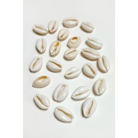 10 Adet Orjinal İstiridye Aparatı Küçük-Beyaz