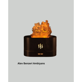 SL169 NEMLENDİRİCİ