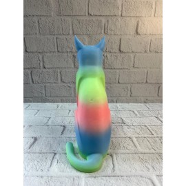 AÇIK RAİNBOW KEDİ