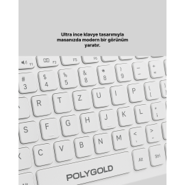 PG-8040 KLAVYE VE MOUSE SETİ