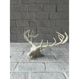 Odern Geyik Başı Biblo 25 Cm Zarif Masa Üstü Dekor