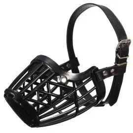 Köpek Ağızlığı