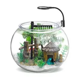 Akvaryum Balık Yavruluğu