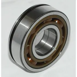 ARKA ŞANZ. KAPAK RULMAN R9-R11-R19-CLIO-KNG AB40587S01 AB41386