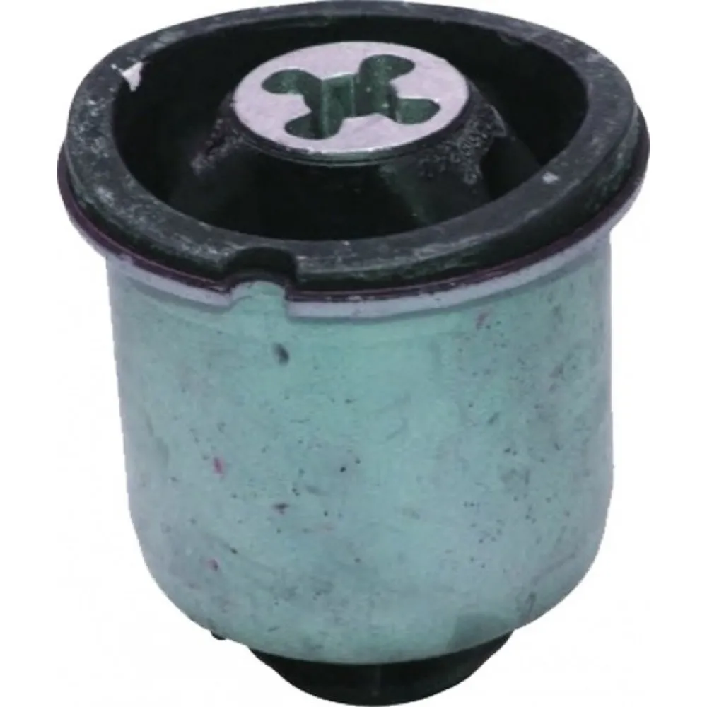 Torsiyon Burcu Büyük Mgn Ii