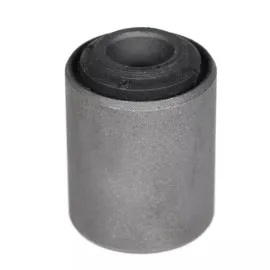 Alt Salincak Burcu R12