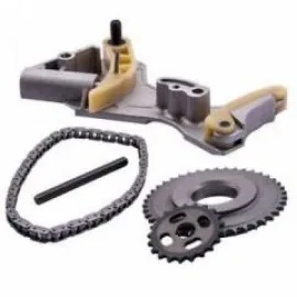 Egzantirik Zinciri Tk.