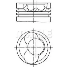 MOTOR PİSTON SEGMAN STD VW T4 2.5 TDI ACV-AHD-ANJ 1.2 SİLİNDİR 81.01