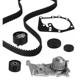 DEVİRDAİMLİ EKSANTRİK GERGİ KİTİ CLIO II-III-MGN I-II-III-LGN I-II-SCENIC I 1.4 16V-1.6 K4M-K4J