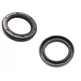 KEÇE 50x68x9 FLASH-R21 50x68x9