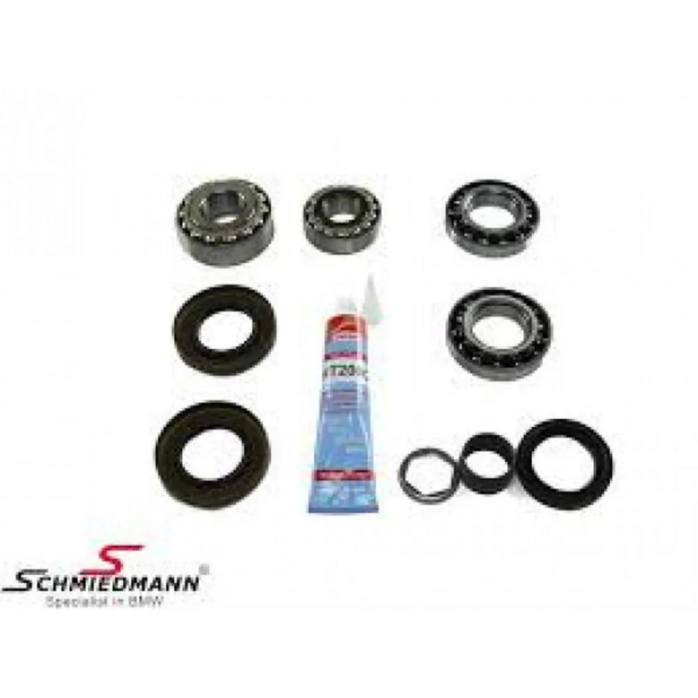 DIFERANSIYEL TAMIR TAKIMI TYP 168L BMW E81 E87 E90 E91 E92 E84