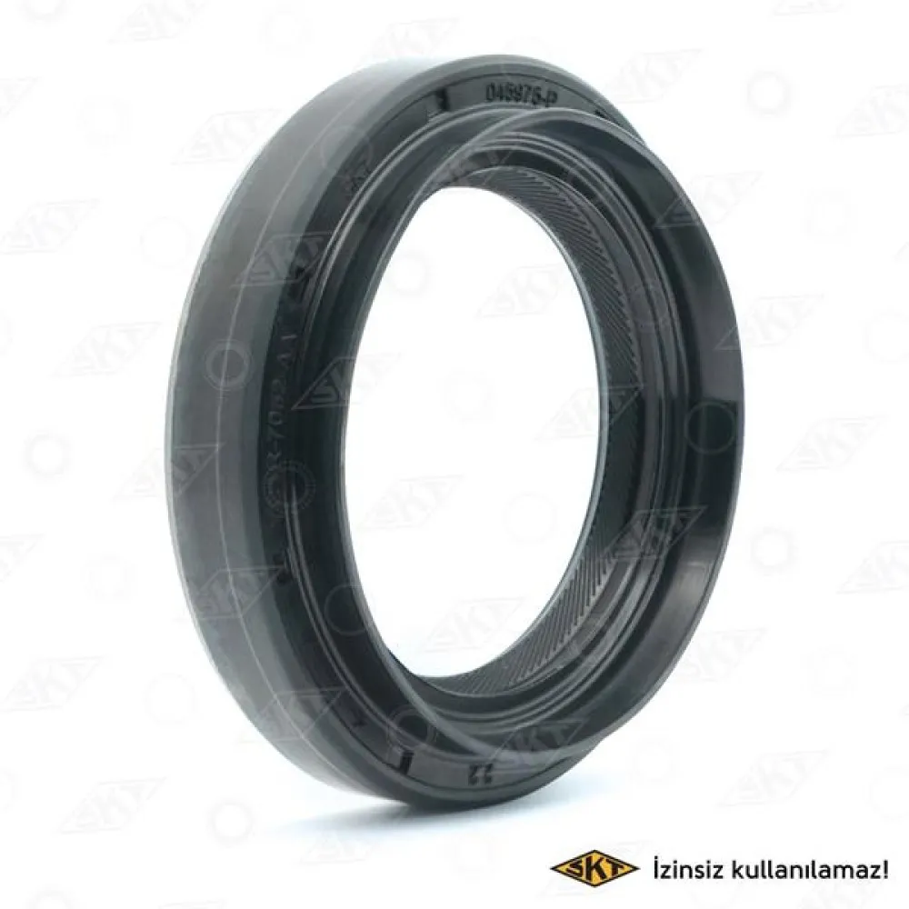 Sanziman Arka Kece Transit V184 01 06 V347 06 14