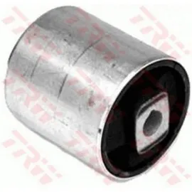 SALINCAK BURCU ON ADET BMW E39 96 04