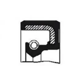 Krank Ön Keçe Renault 12 Toros