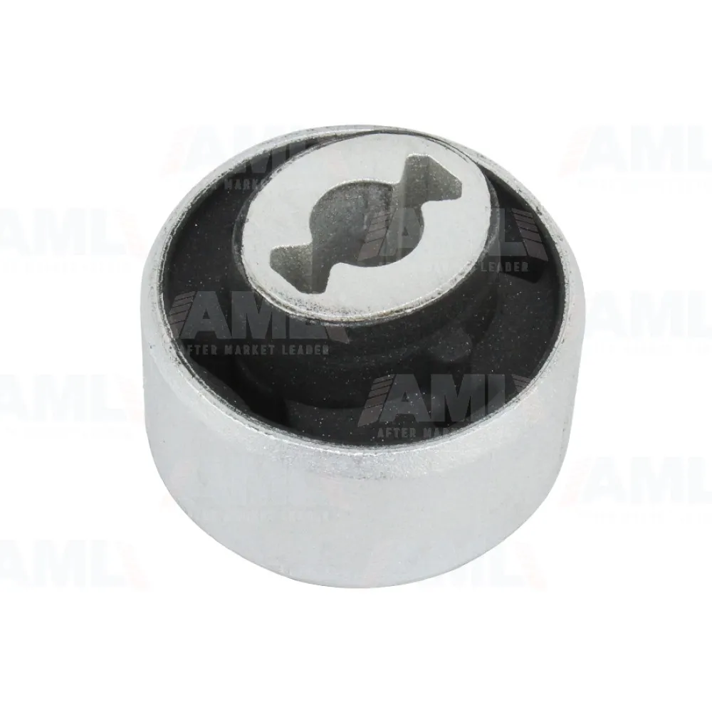 Salincak Burcu Küçük Clio V