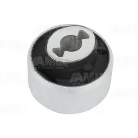 Salincak Burcu Küçük Clio V