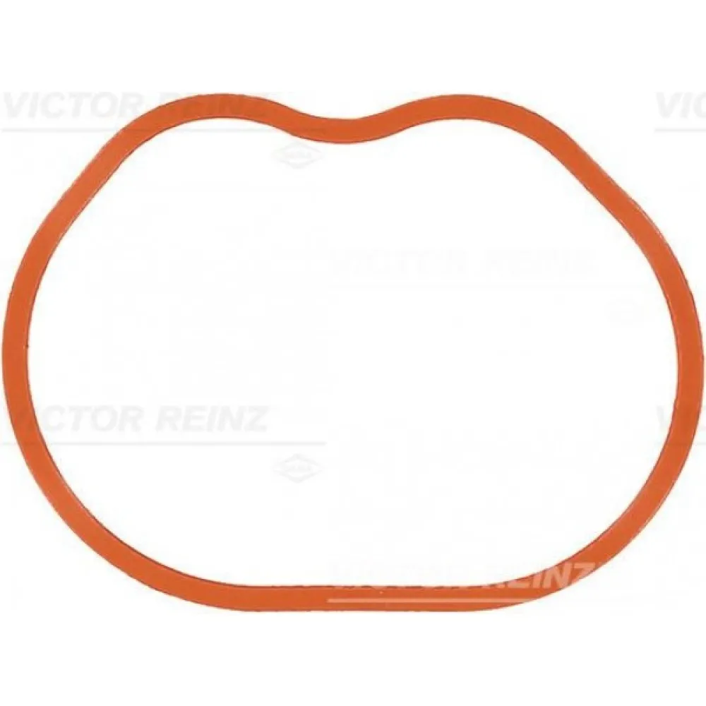 Emme Manifold Takim Conta Silikon Focus Ii 1.6 16V Benzinli 07