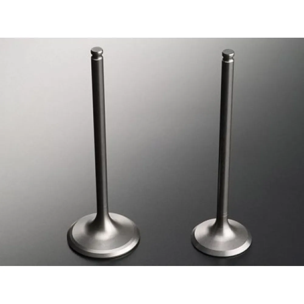 Subap Emme Egzoz Takimi Hyundai İ20 1.2 16V Stellitli Lpg Li Araçlar In-8 Ex-8