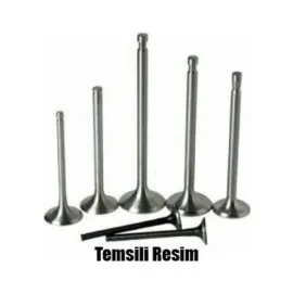 Subap Takim Renault Clio V-Megane Iv-Kadjar-Kangoo-Symbol Iii-Captur Ii 1.5 Blue Dci Euro6 12