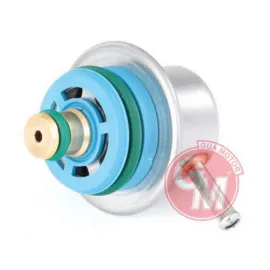 BASINÇ REGÜLATÖRÜ CAPTUR I 13 CAPTUR II 20 CLIO V 19 CLIO IV 12 SYMBOL III 13 TALIANT 21 SANDE RO II 13 DUSTER 19 0.9 TCE 1.0 TCE 7700103593