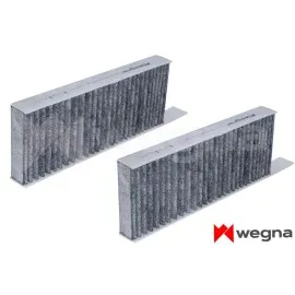 Polen Filtresi Astra L 21 P308 Ii-Iii 13 P508 18 Karbonlu