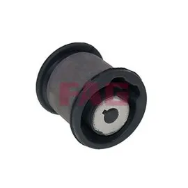 Arka Salincak Burcu İç T5-T6