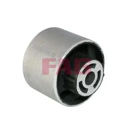 Salincak Burcu Arka-Passat 2005