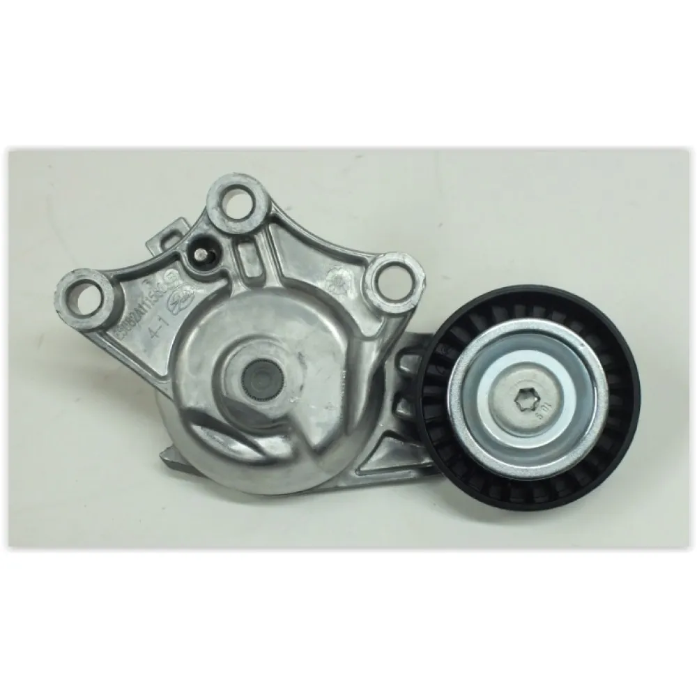 Alternator Gergi Rulmani P308 C3 Ds3 09 P508 P3008 P5008 C4 C5 Berlingo Ds4 10 P208 12 1.6 Hdi