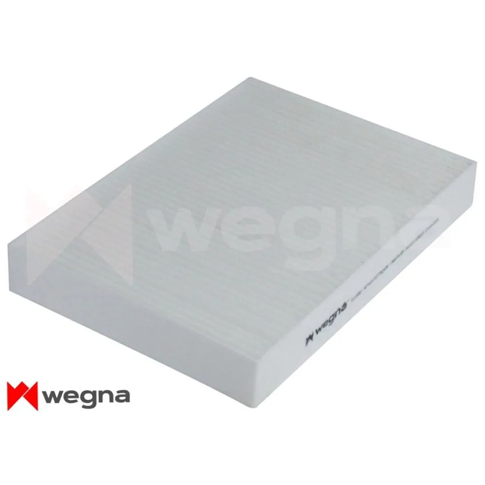 Polen Filtresi Dacia Dokker 12 Lodgy 12 Renault Express 21 1.2Tce 1.3Tce 1.5Dci 1.6