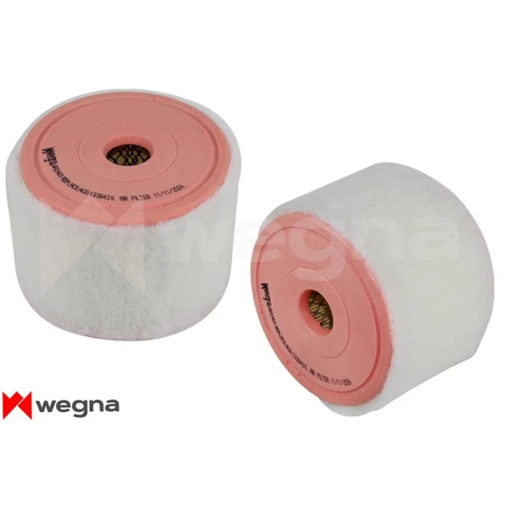 Hava Filtresi A6 2.0 Tfsi-Tdi 11 C 15010