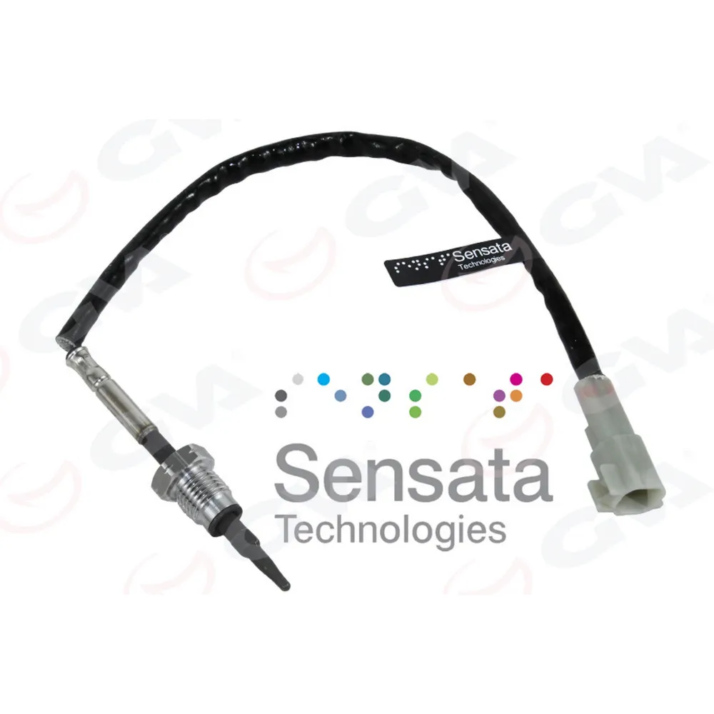 EGSOZ SICAKLIK SENSÖRÜ RANGER 11> 3.2 200PS