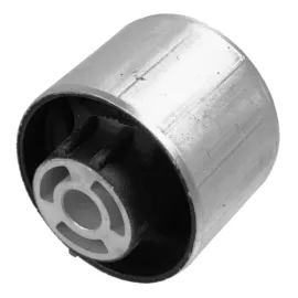 Salincak Burcu Arka-Passat 2005 >