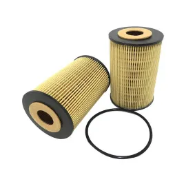 YAĞ FİLTRELERİ E-36 318 TDS 95 > M-41