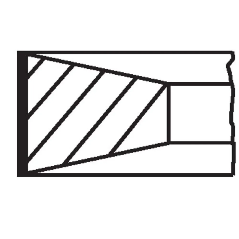 Segman 73.70 Mm Std Peugeot 206 1.4 Hdi-Dv4 Tdci / Ford Fiesta